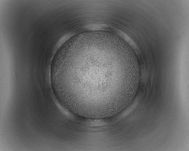 X0000114220986200910161304