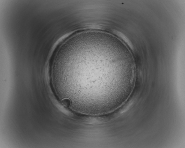 X0000114220987200910161304