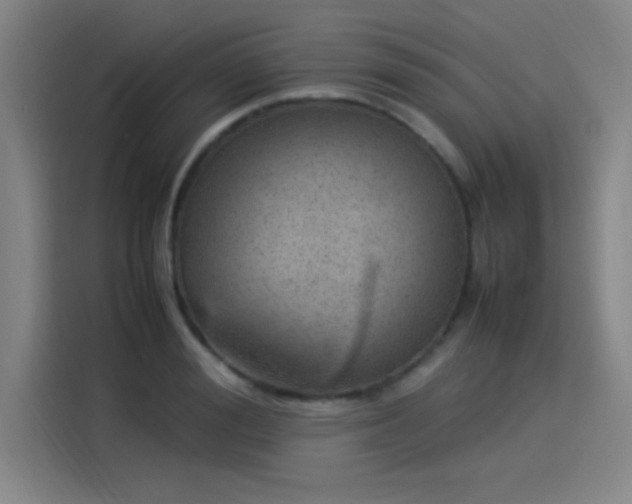 X0000114220988200910161304