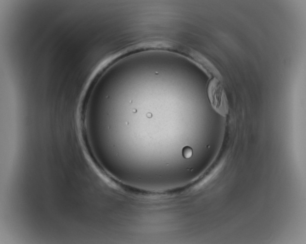 X0000114220989200910161304