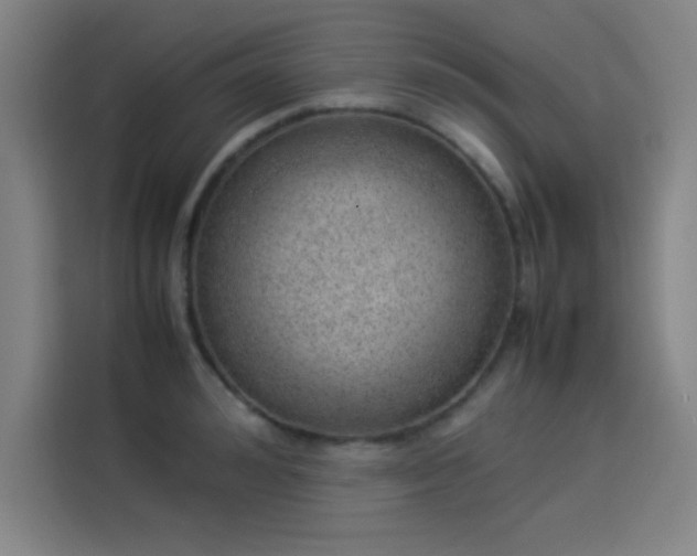 X0000114220992200910161304