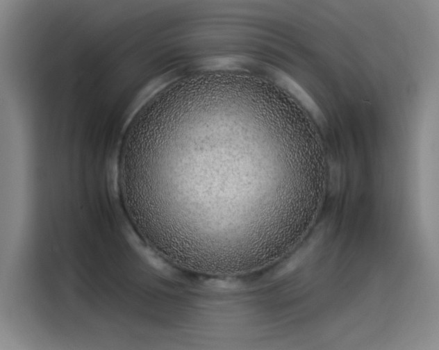 X0000114220994200910161304