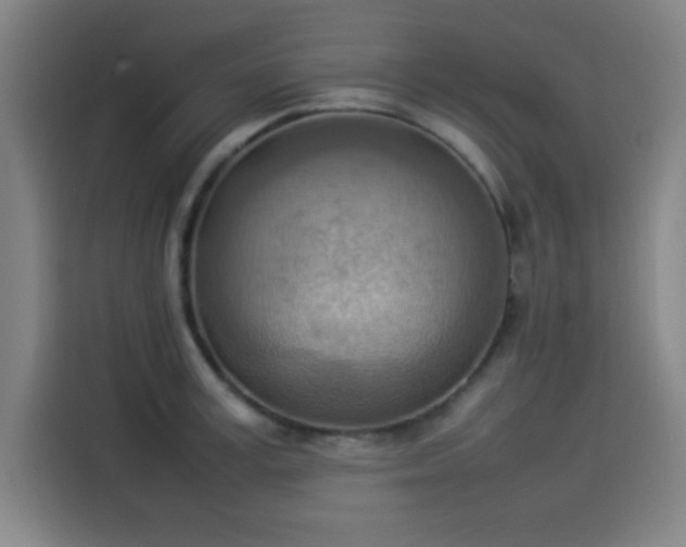 X0000114220995200910161304