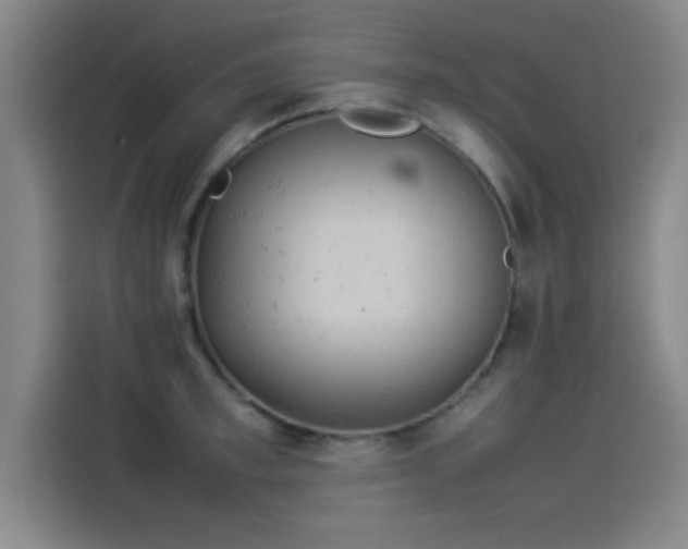 X0000114220997200910161304