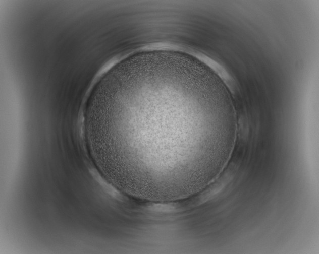 X0000114220998200910161304