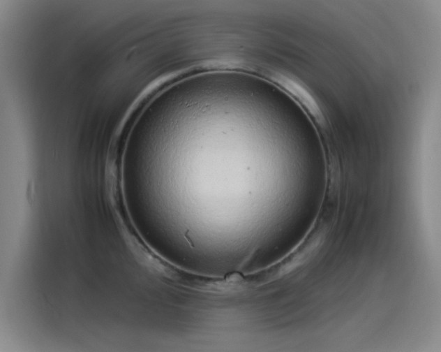 X0000114221000200910161304