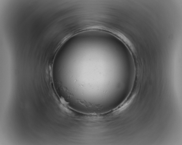 X0000114221001200910161304