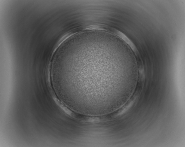 X0000114221002200910161304