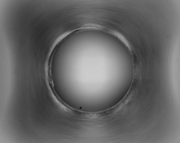 X0000114221003200910161304