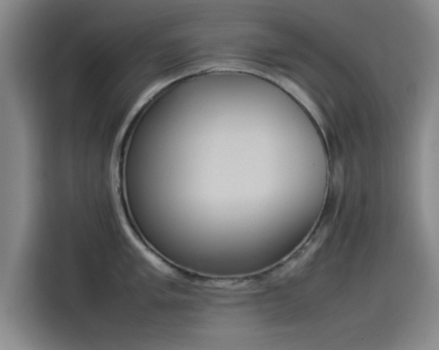 X0000114221005200910161304