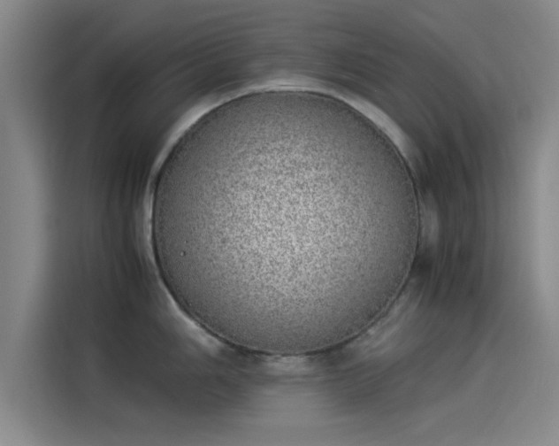 X0000114221006200910161304