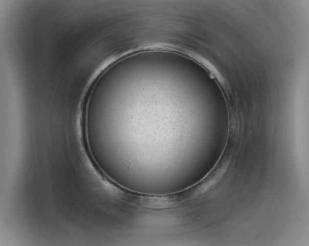 X0000114221007200910161304