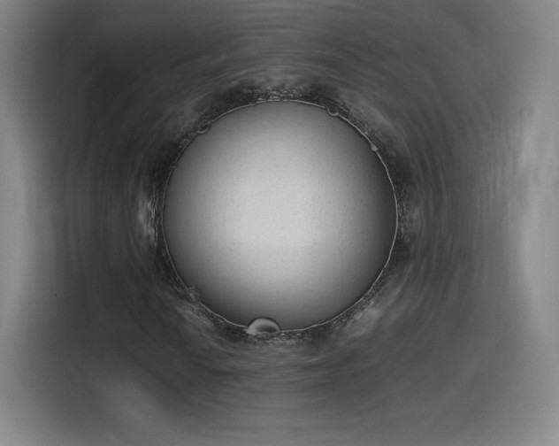 X0000114221010200910161303