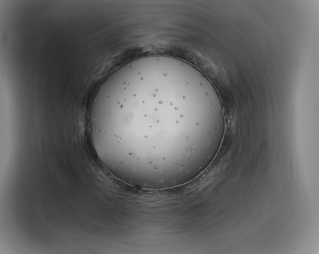 X0000114221012200910161303