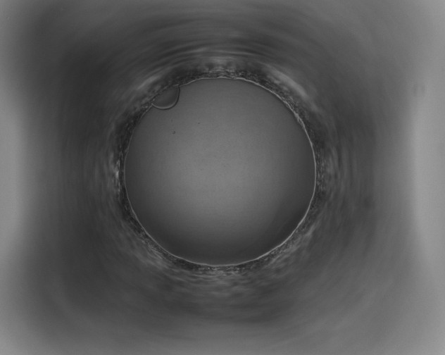 X0000114221013200910161303