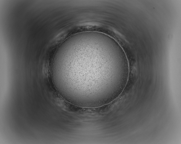 X0000114221014200910161303