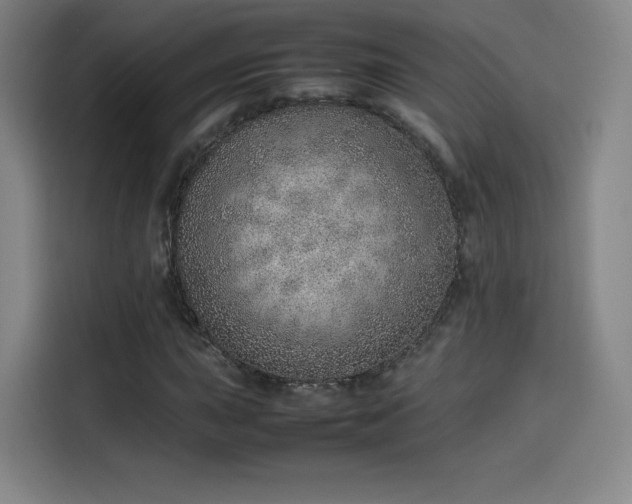 X0000114221015200910161303