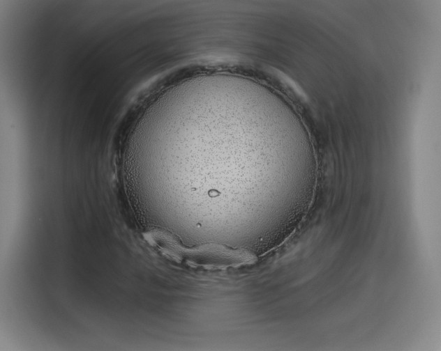 X0000114221016200910161303