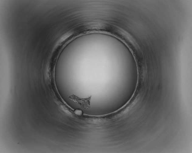 X0000114221018200910161303