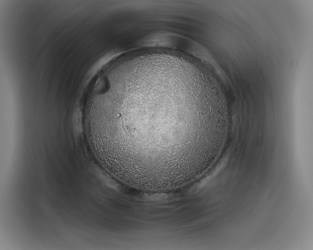 X0000114221019200910161303