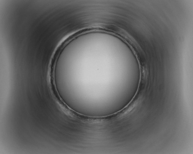 X0000114221020200910161303