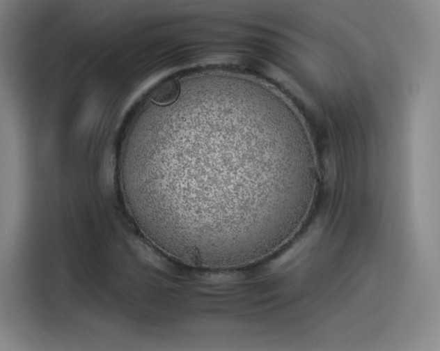 X0000114221021200910161303