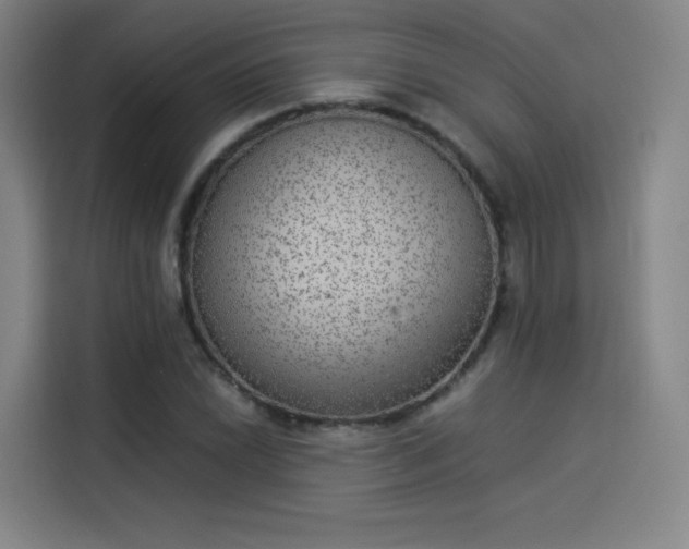 X0000114221022200910161303