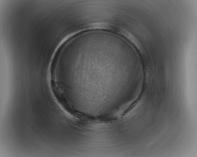 X0000114221024200910161303