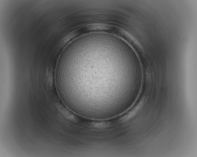 X0000114221025200910161303