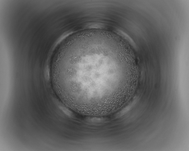 X0000114221027200910161303