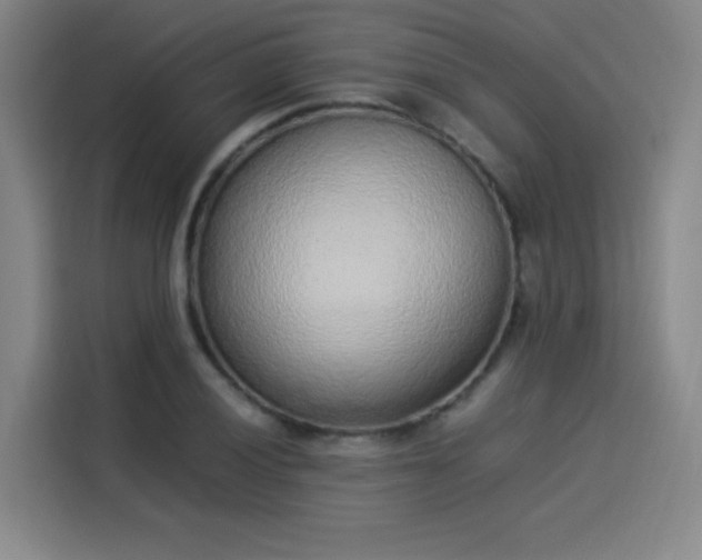 X0000114221028200910161303