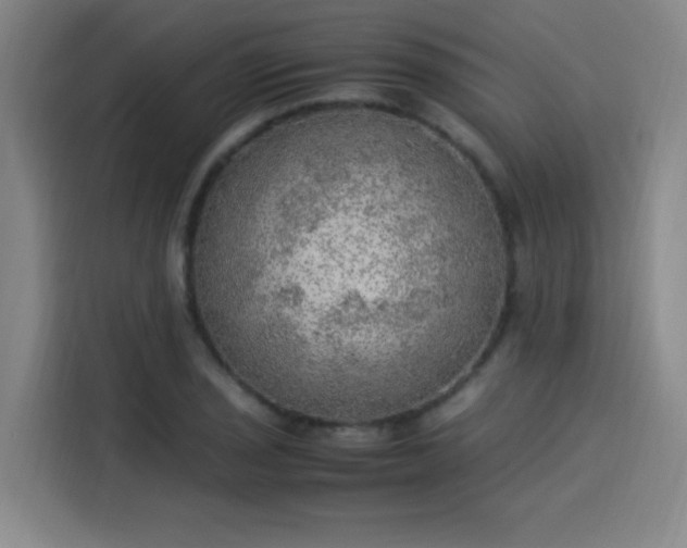 X0000114221029200910161303