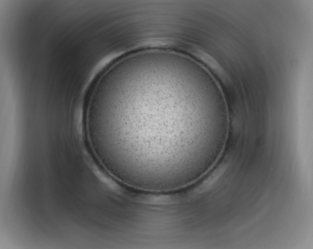 X0000114221030200910161303