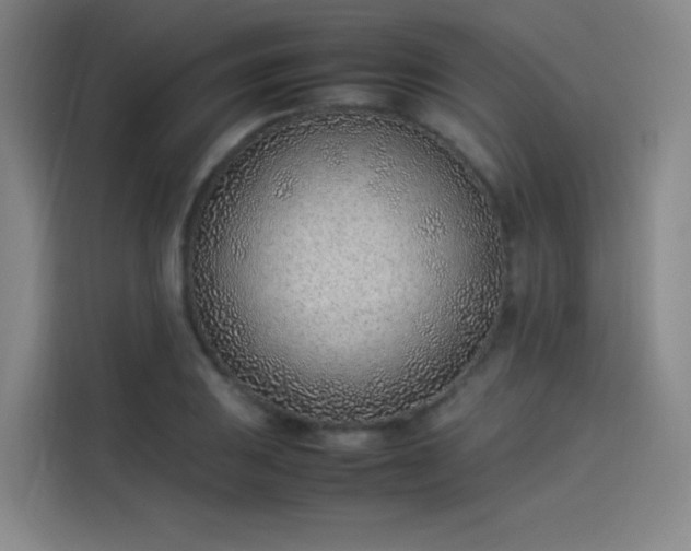 X0000114221031200910161303