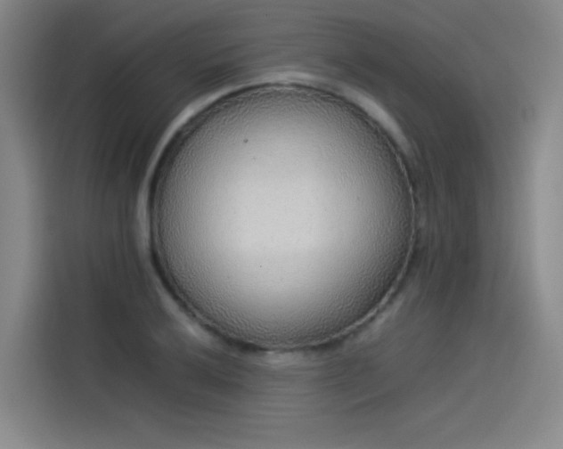 X0000114221032200910161303