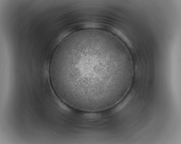 X0000114221033200910161303