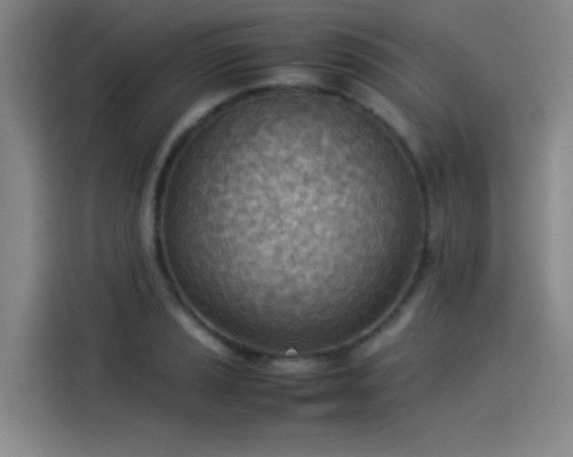 X0000114221037200910161303