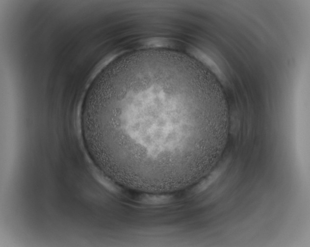 X0000114221039200910161303