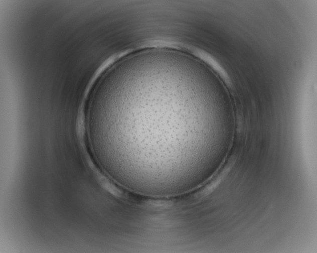 X0000114221040200910161303