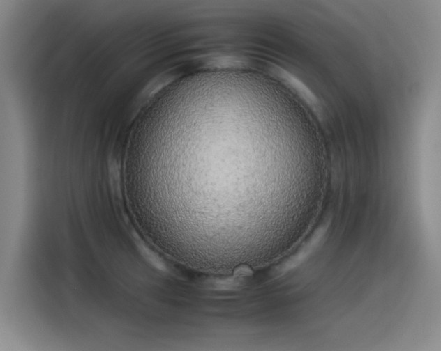 X0000114221041200910161303