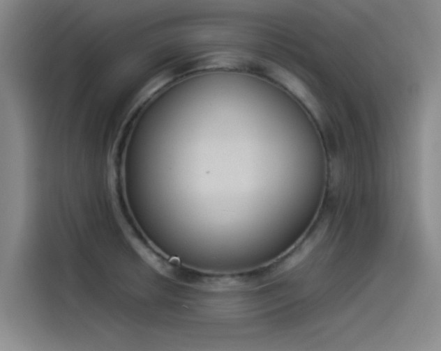 X0000114221042200910161303