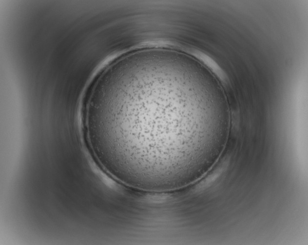 X0000114221046200910161303