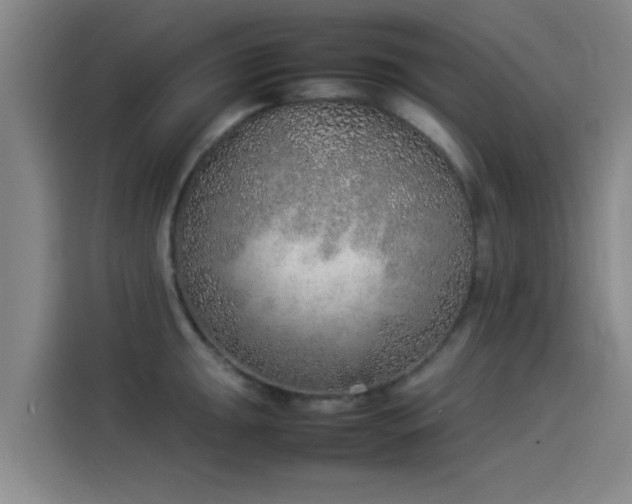 X0000114221047200910161303