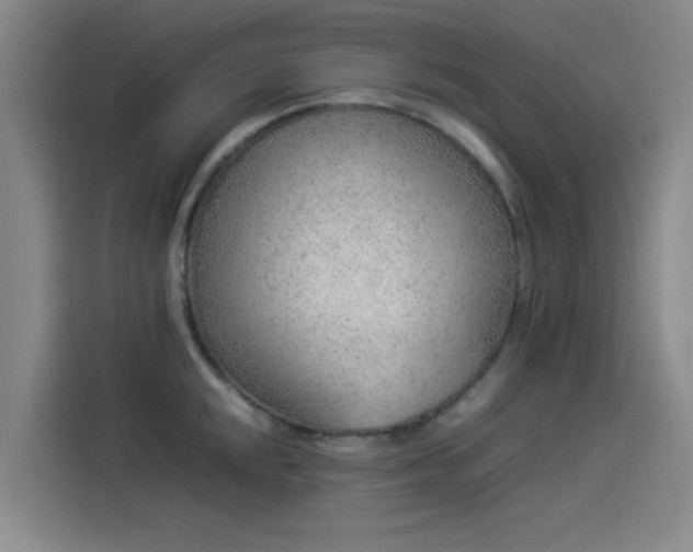 X0000114221048200910161303