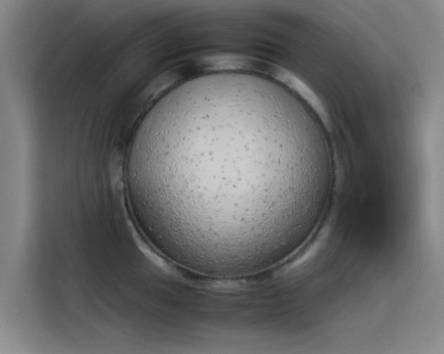 X0000114221049200910161303