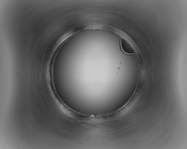 X0000114221050200910161303