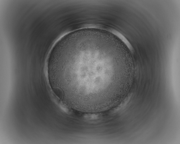 X0000114221051200910161303