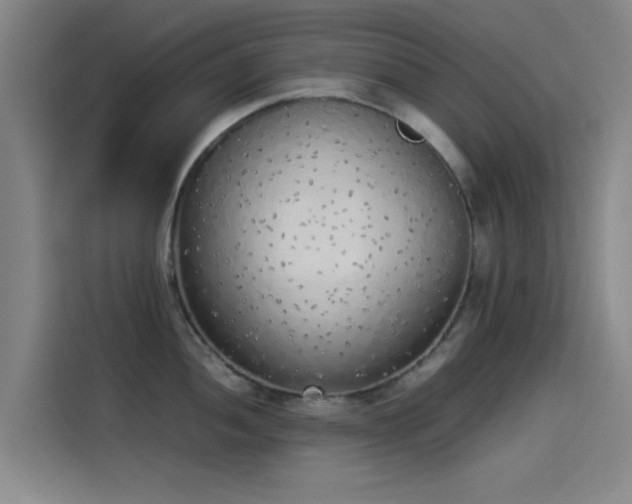 X0000114221052200910161303