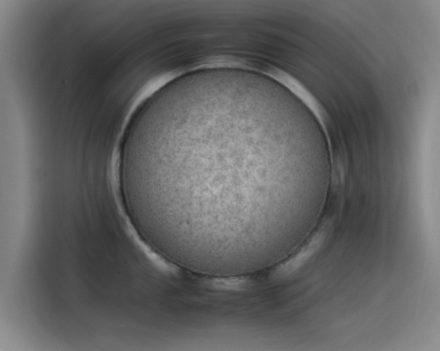 X0000114221053200910161304