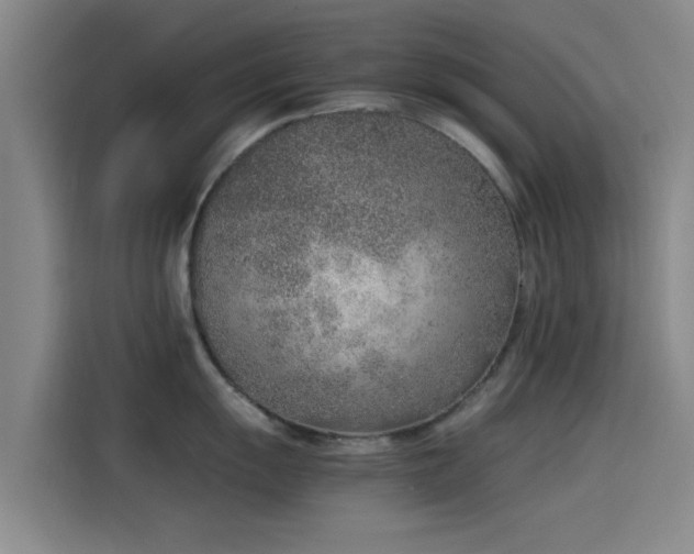 X0000114221055200910161304